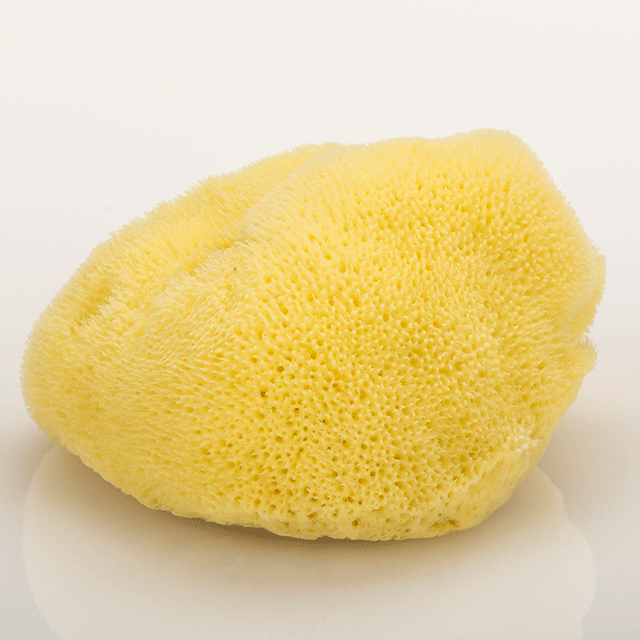Naturschwamm "fine silk", ca. 12 - 14 cm Naturschwamm "fine silk", ca. 12 - 14 cm