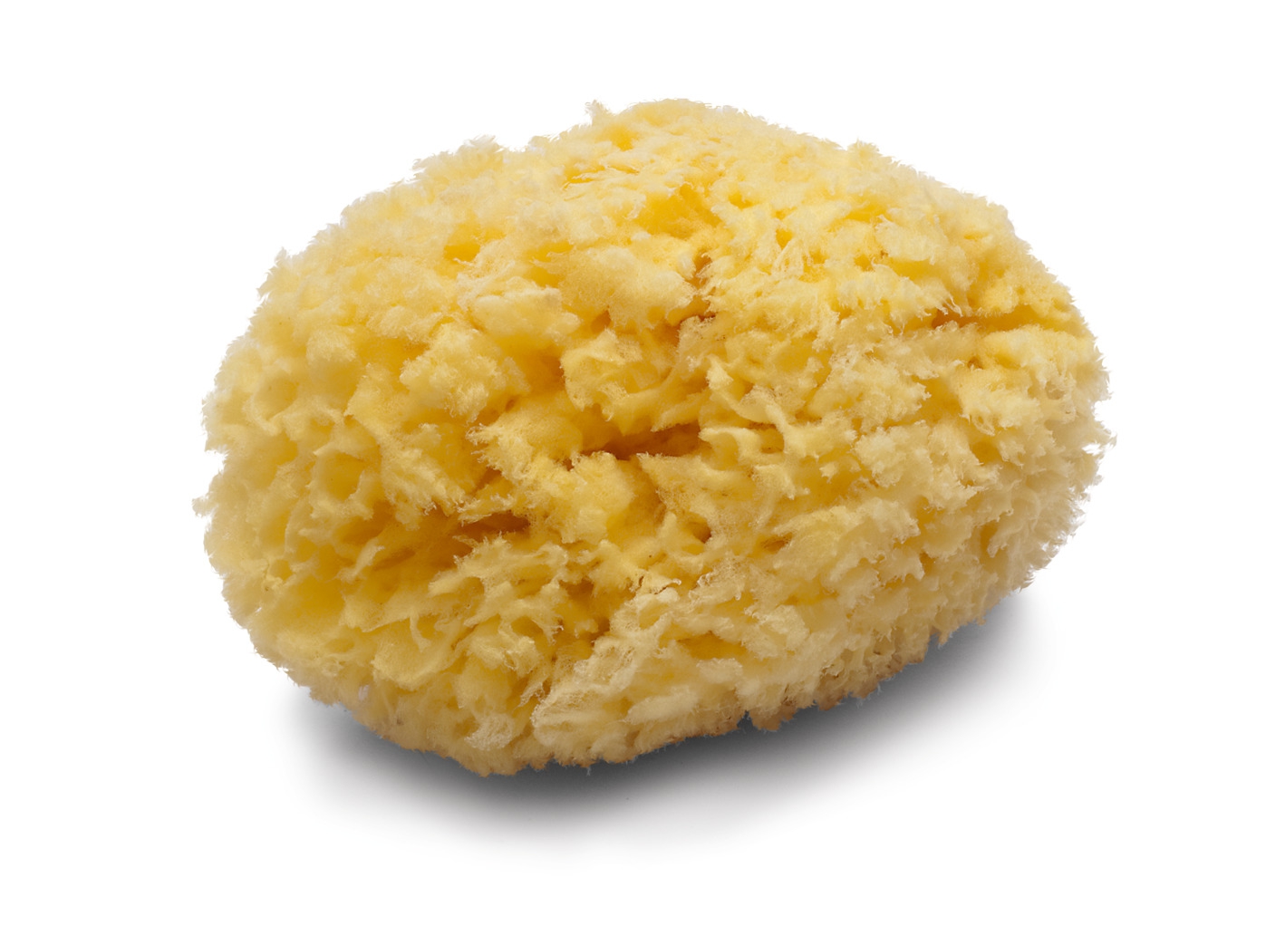 Peclavus Naturschwamm "Gold des Meeres" Peclavus Naturschwamm "Gold des Meeres"