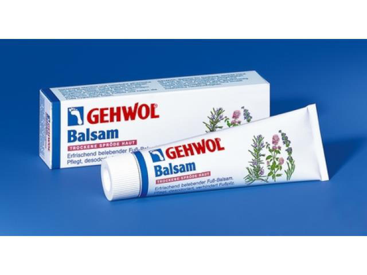 GEHWOL Balsam trockene spröde Haut | 6x 75 ml (450 ml)