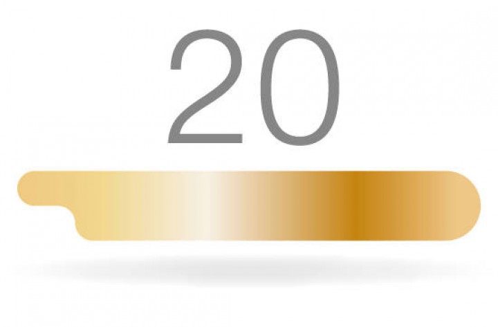 RUCK Nagelkorrektur Goldstadt professional Halbspange Gr. 20 Stärke 0,1 / 0,15 mm RUCK Nagelkorrektur Goldstadt professional Halbspange Gr. 20 Stärke 0,1 / 0,15 mm