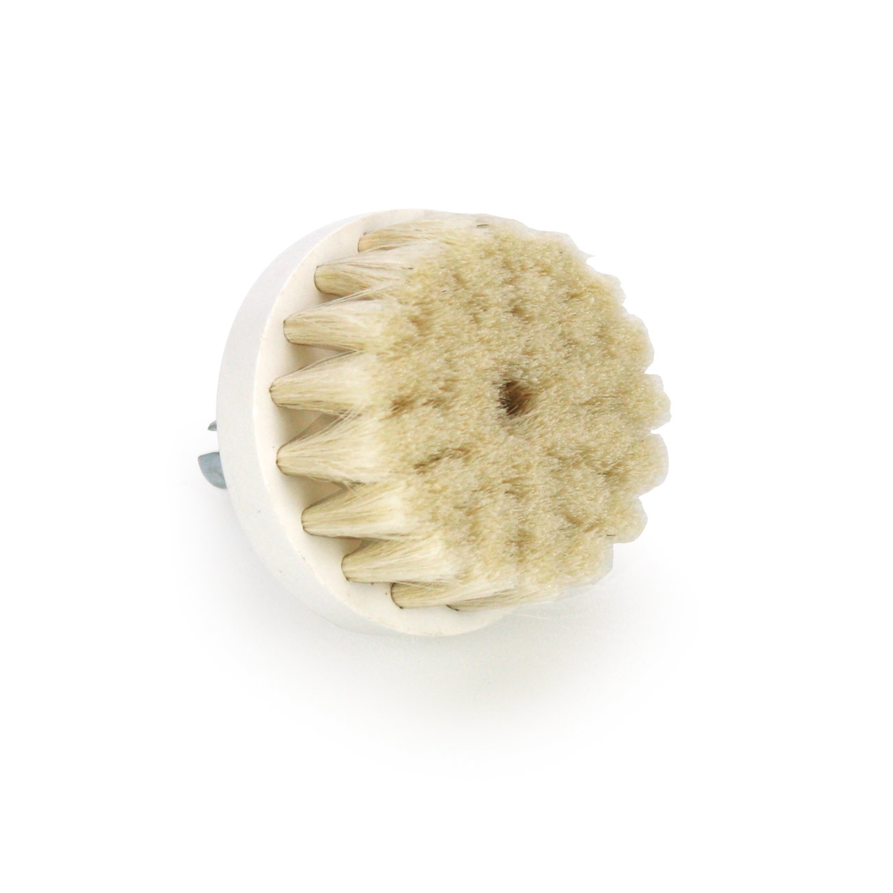 Bürste aus Schweinsborsten zu ROTARY BRUSH 4,5 cm Bürste aus Schweinsborsten zu ROTARY BRUSH 4,5 cm