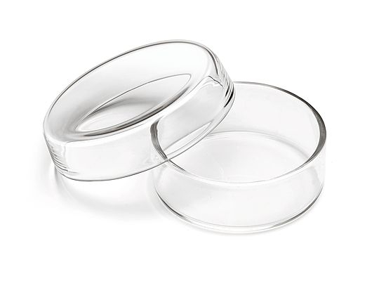 Petri-Schale 60 mm Ø, ca. 23 mm hoch Petri-Schale 60 mm Ø, ca. 23 mm hoch