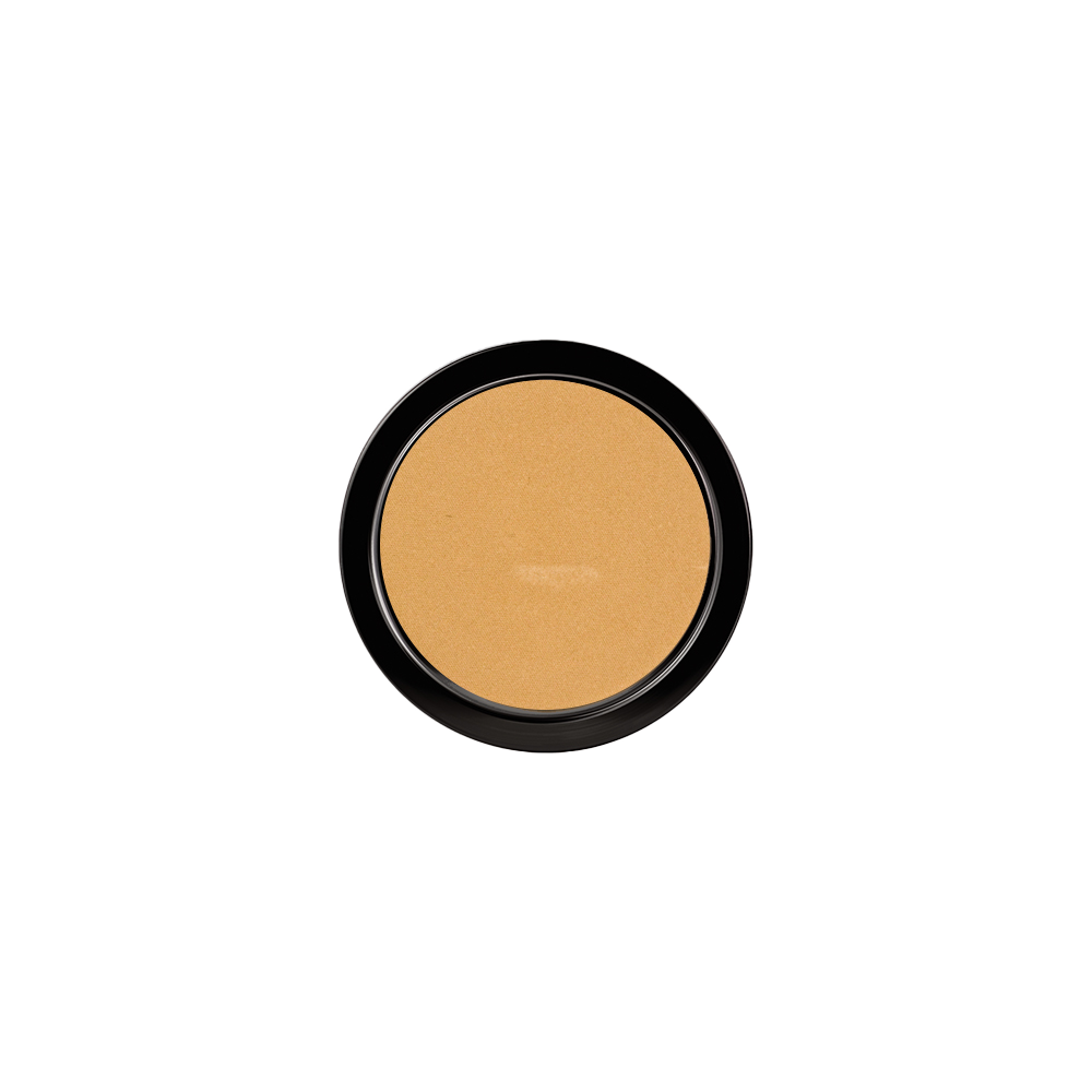 PAESE Illuminating Covering Powder 9 g tanned