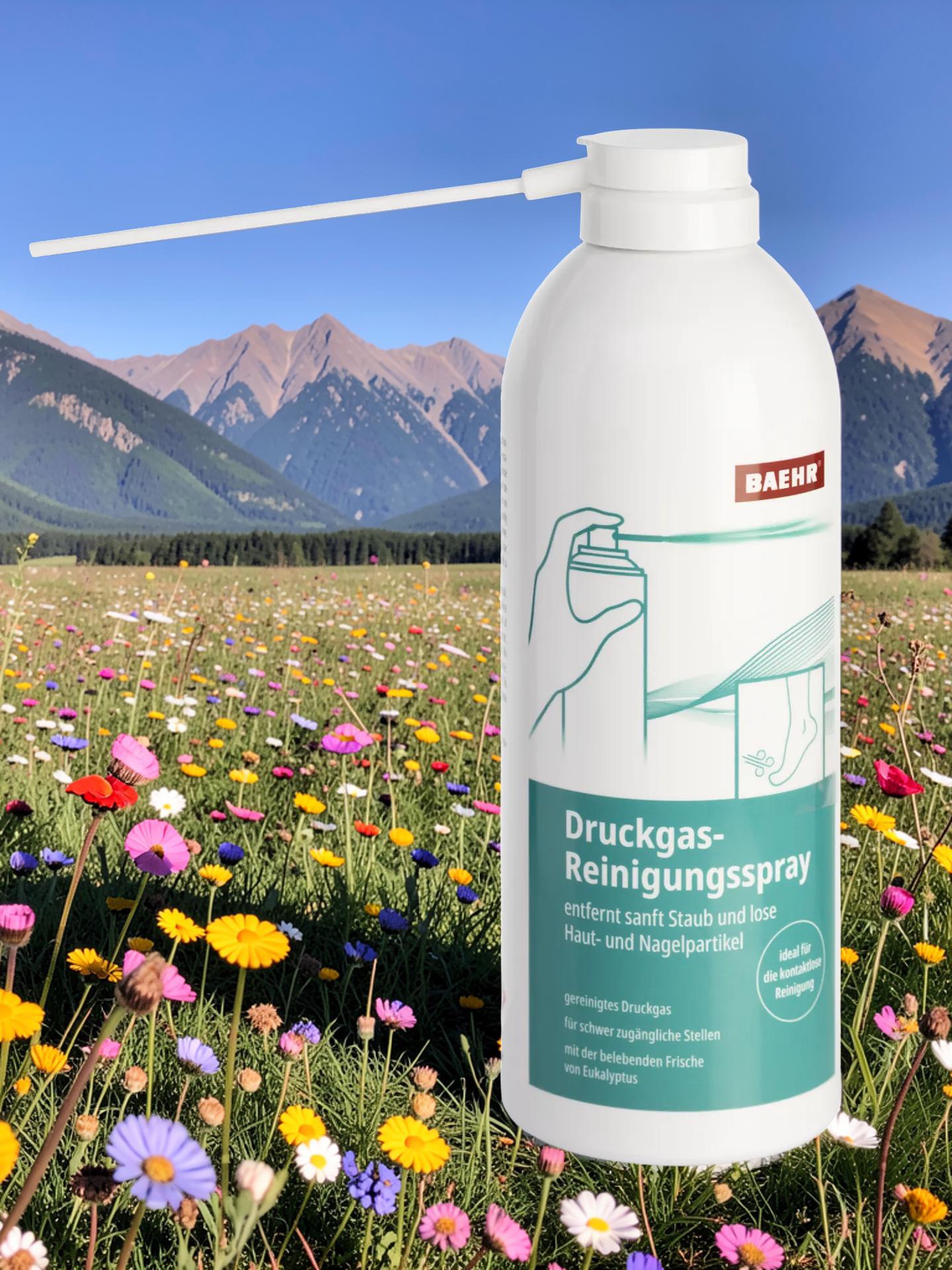 BAEHR Druckgas-Reinigungsspray, 300 ml