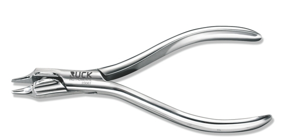 🔴Delphinzange 🔴Delphinzange