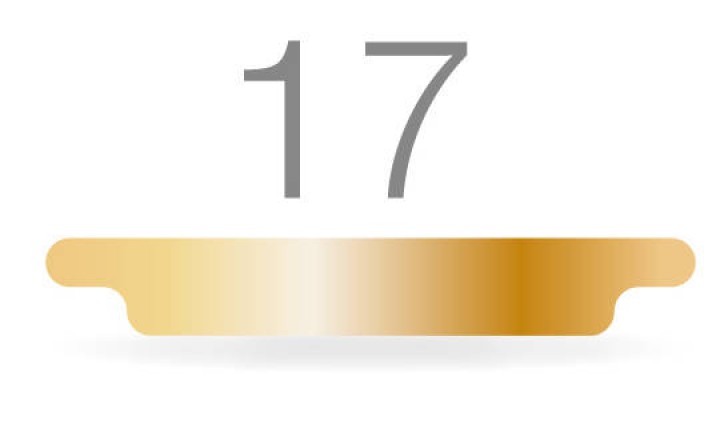 RUCK Nagelkorrektur Goldstadt professional Vollspange Gr. 17 Stärke 0,1 / 0,15 mm RUCK Nagelkorrektur Goldstadt professional Vollspange Gr. 17 Stärke 0,1 / 0,15 mm