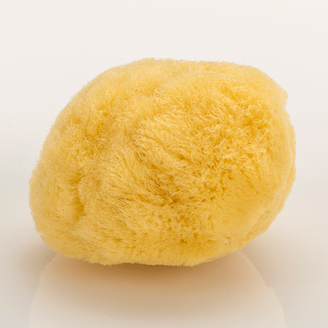 Naturschwamm "fine silk", ca. 6 - 7,5 cm Naturschwamm "fine silk", ca. 6 - 7,5 cm