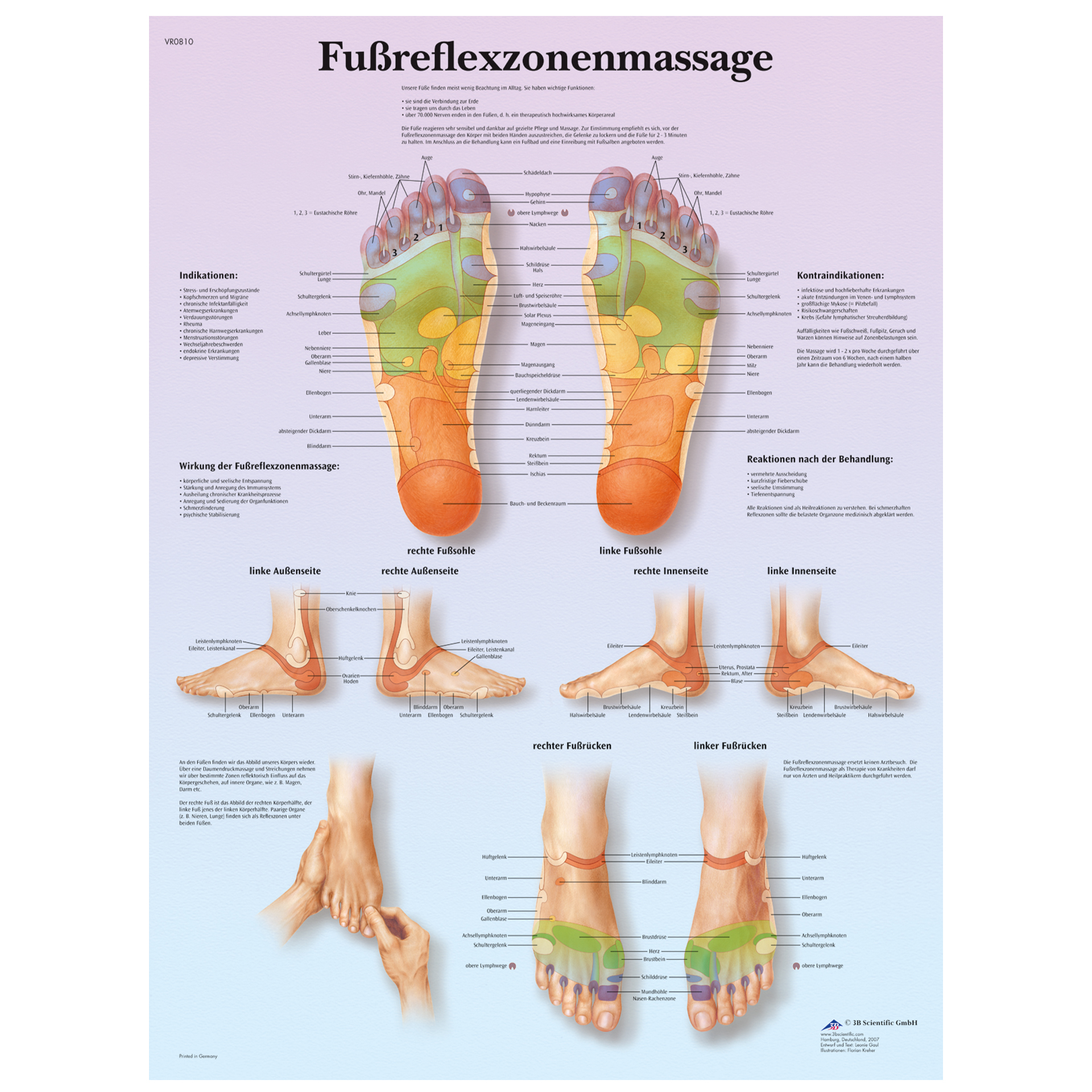 Lehrtafel "Fußreflexzonenmassage" Lehrtafel "Fußreflexzonenmassage"