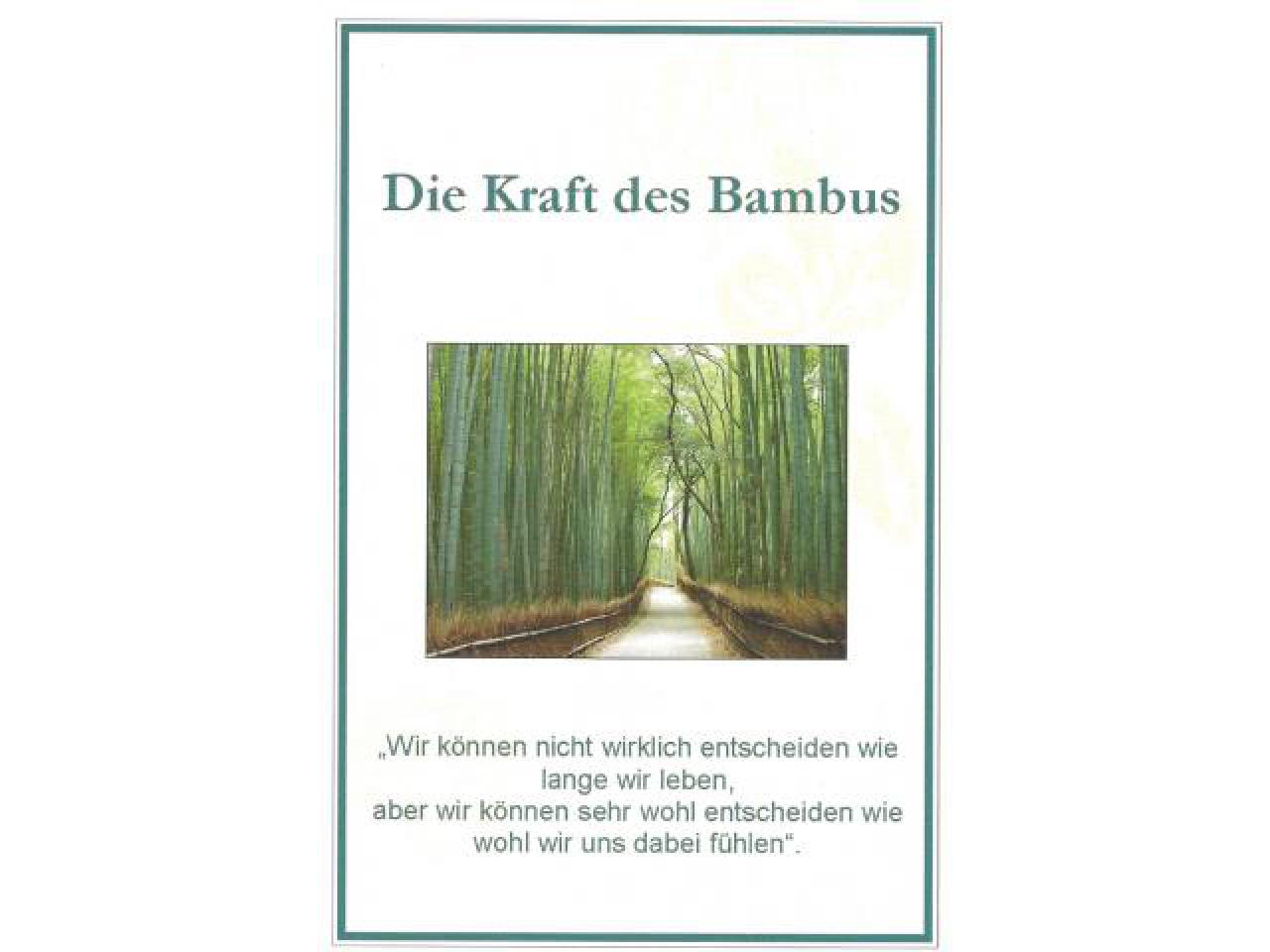 Die Kraft des Bambus - Broschüre Die Kraft des Bambus - Broschüre