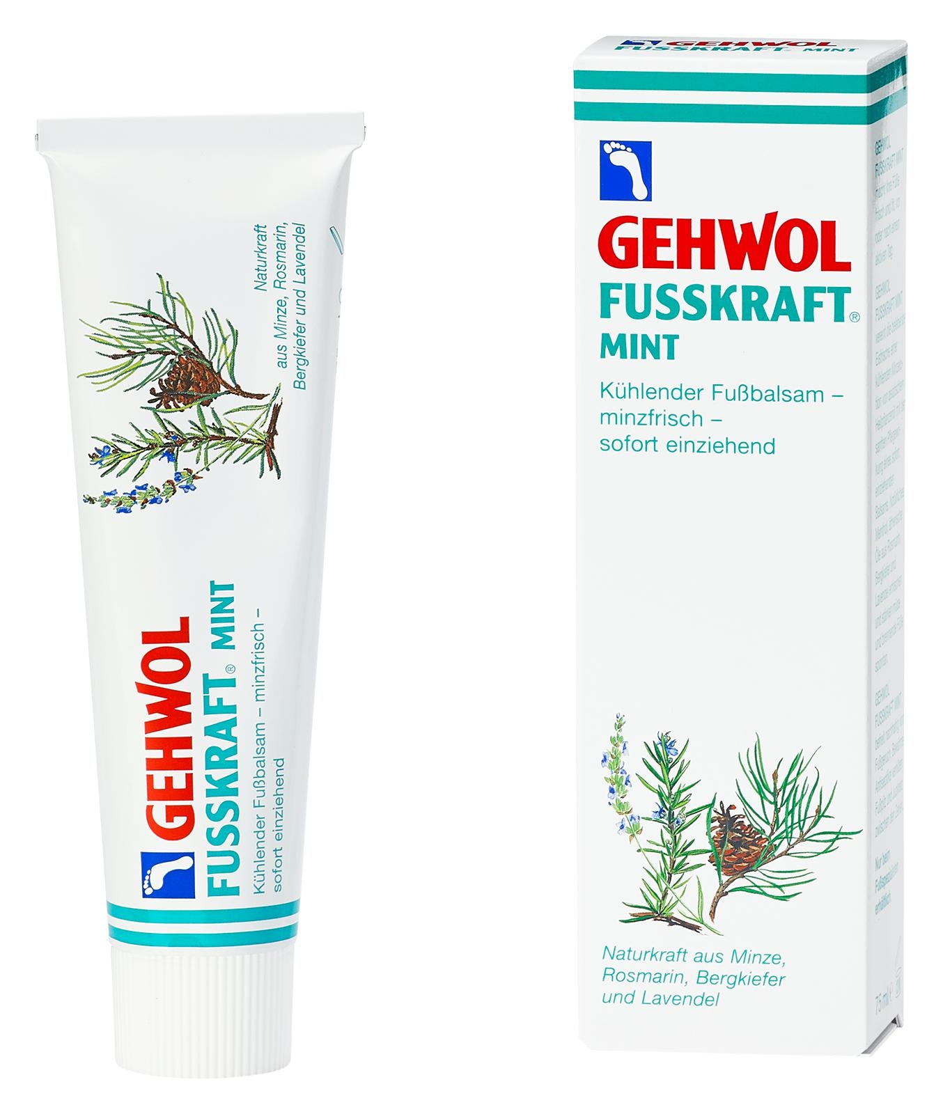 GEHWOL FUSSKRAFT MINT | 6x 75 ml (450 ml) GEHWOL FUSSKRAFT MINT | 6x 75 ml (450 ml)
