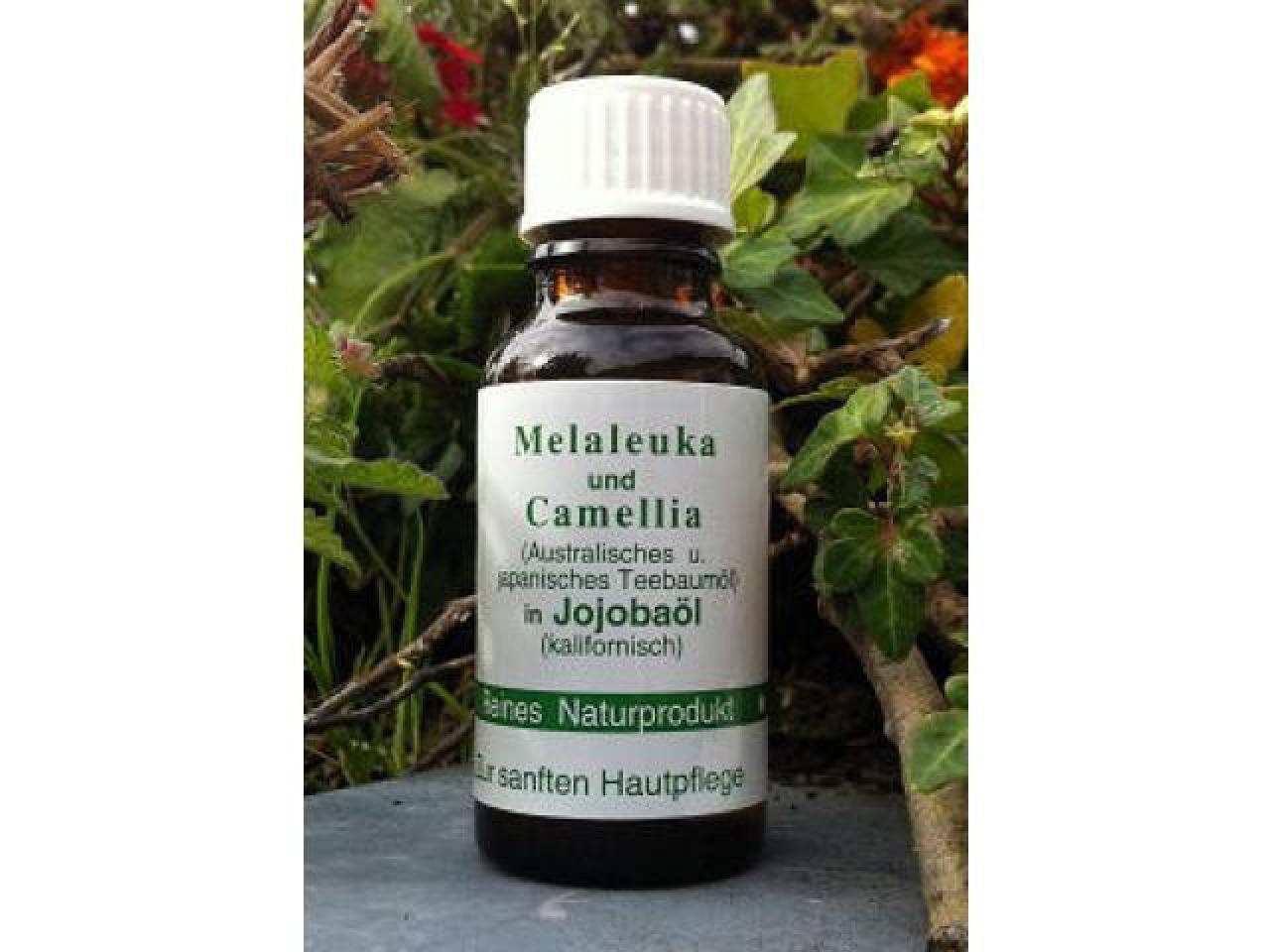 OMEGA - Melaleuka und Camellia in Jojobaöl 20 ml