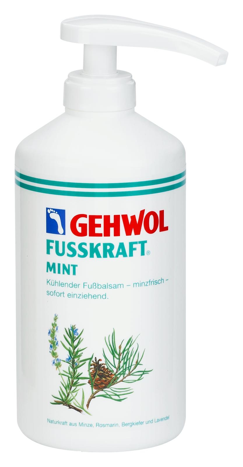GEHWOL FUSSKRAFT MINT 500 ml Dose mit Spender GEHWOL FUSSKRAFT MINT 500 ml Dose mit Spender