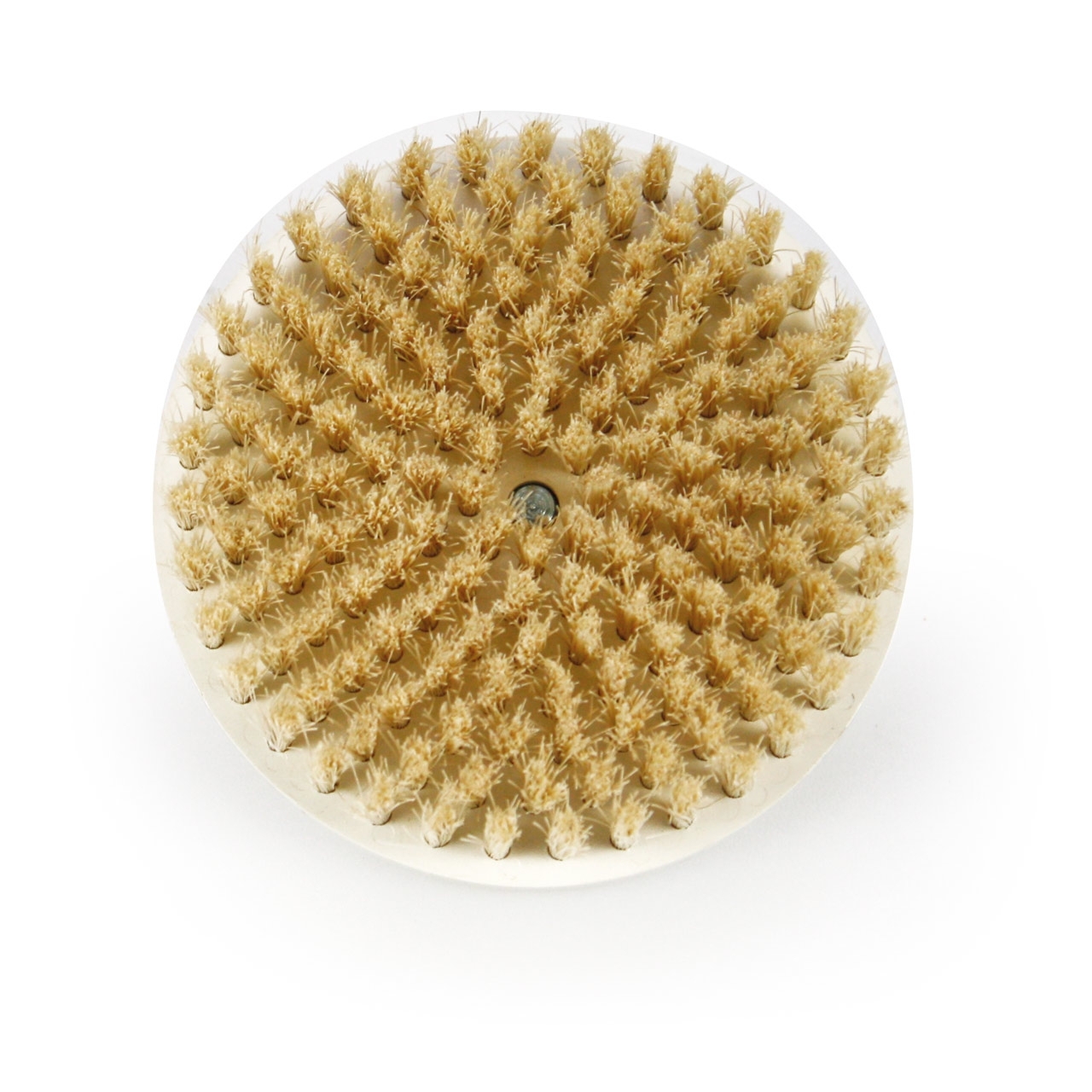 Bürste aus Schweinsborsten zu ROTARY BRUSH 9,0 cm Bürste aus Schweinsborsten zu ROTARY BRUSH 9,0 cm
