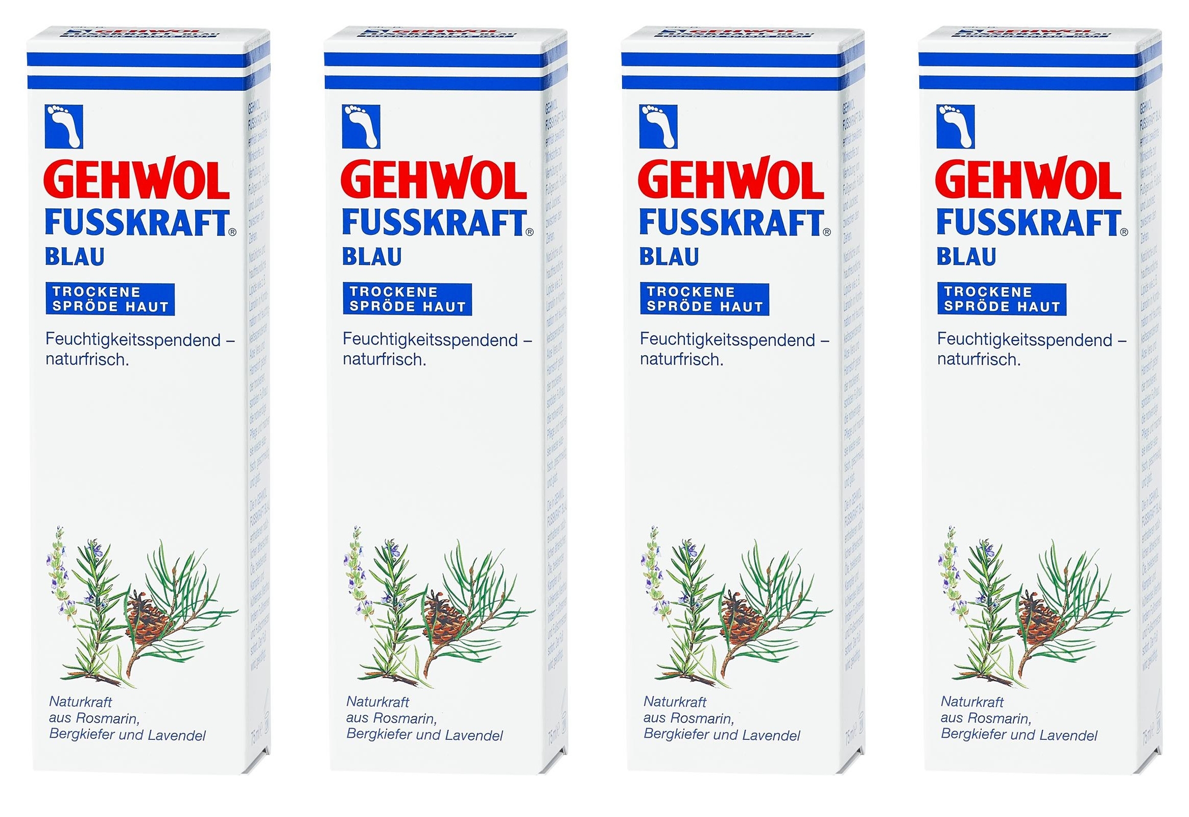 ✳️ 4x GEHWOL FUSSKRAFT BLAU 125 (500 ml) ✳️ 4x GEHWOL FUSSKRAFT BLAU 125 (500 ml)