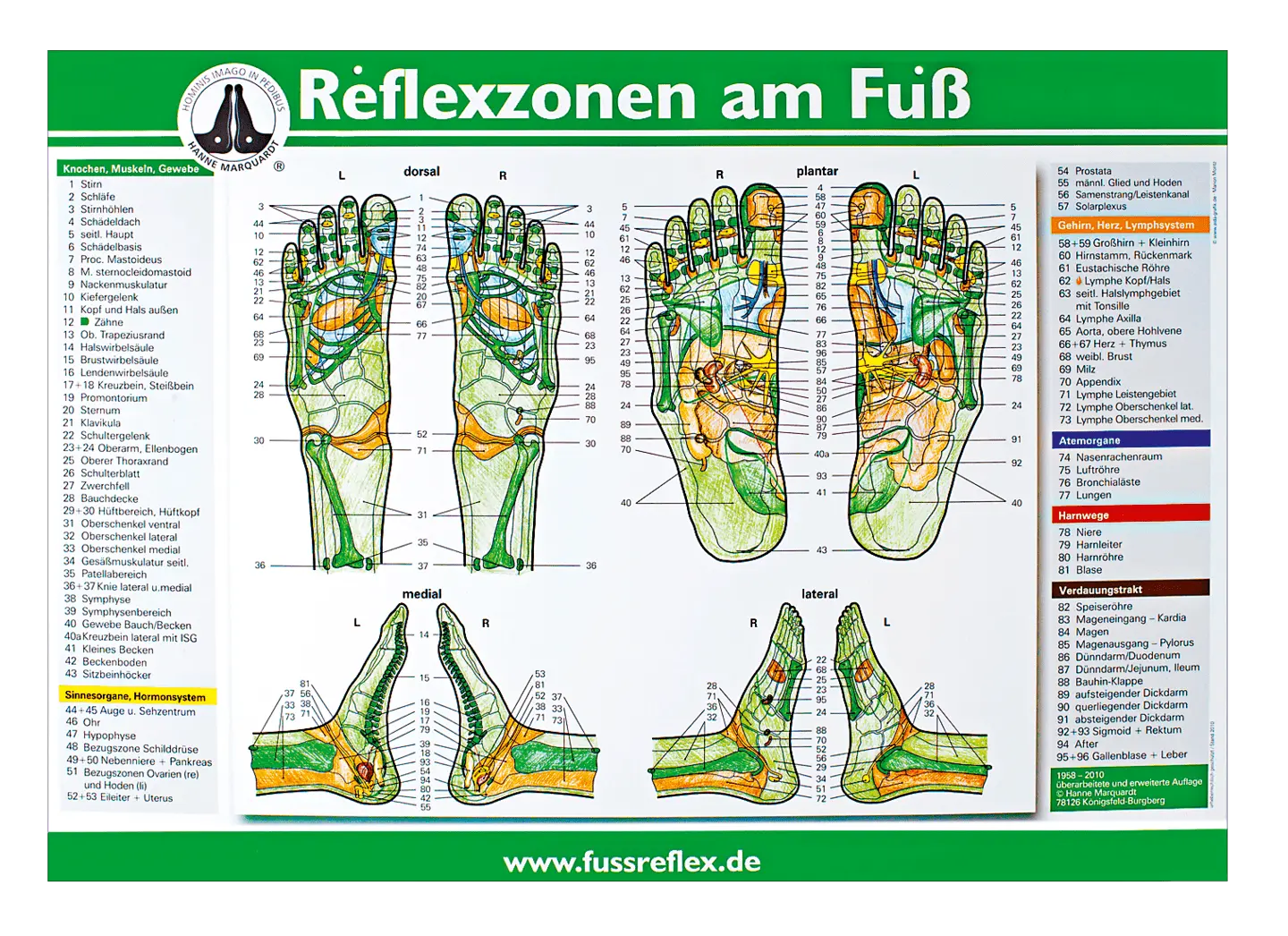 Lehrtafel Reflexzonen am Fuß nach Hanne Marquardt Lehrtafel Reflexzonen am Fuß nach Hanne Marquardt