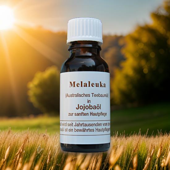 Melaleuka in Jojobaöl ( Teebaumöl ) | 20 ml