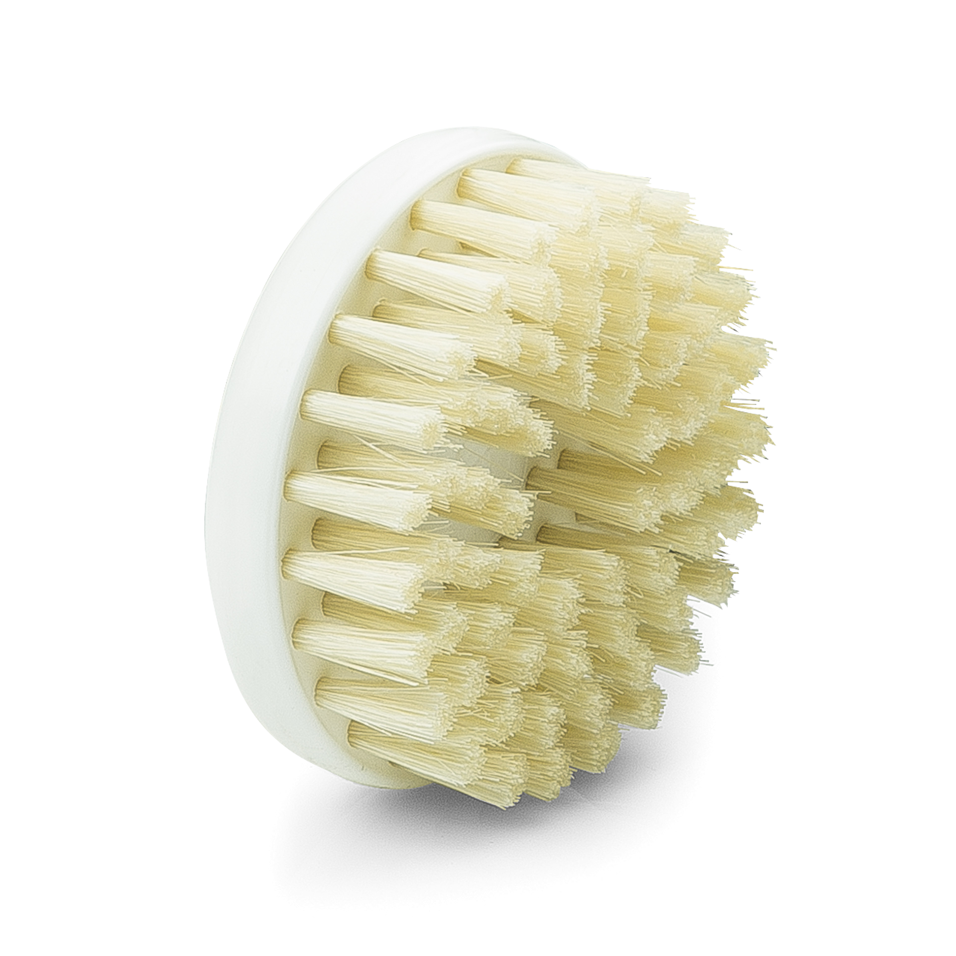 Bürste groß 6,5cm Bürste groß 6,5cm